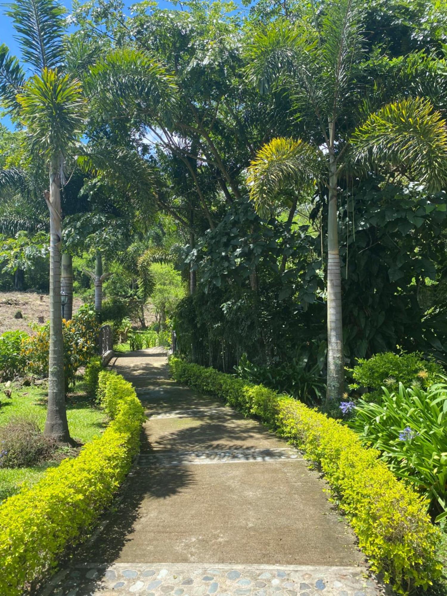Hotel Boutique Casona Del Cafetal And Lakeside Restaurant Cachí المظهر الخارجي الصورة