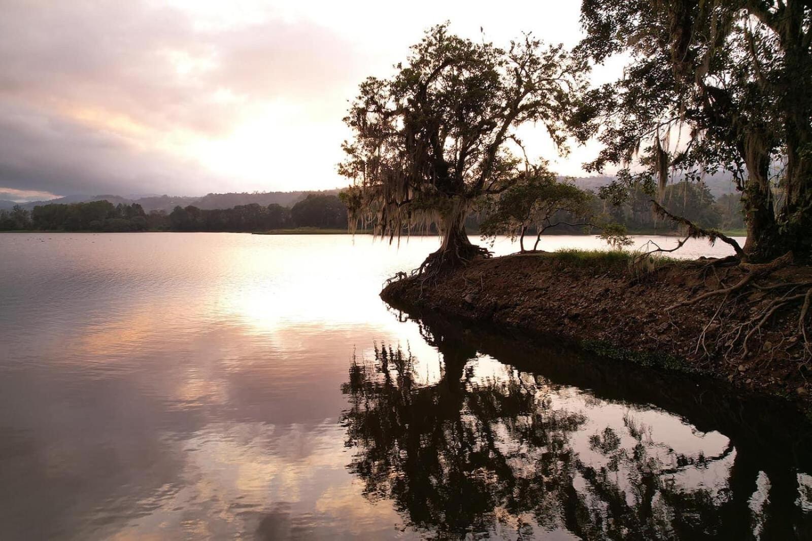 Hotel Boutique Casona Del Cafetal And Lakeside Restaurant Cachí المظهر الخارجي الصورة